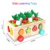 Toddlers Montessori Wooden Educational Toys for Baby Boys Girls Age 1 2 3 Year Old, Shape Sorting Toys 1st One First Birthday Girl Gifts for Kids 1-3, Wood Preschool Learning Fine Motor Skills Game view 2