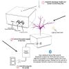 Nobsound Bluetooth Music Tesla Coil Arc Plasma Loudspeaker Square Wave Music Spectrum Desk Setup Decoration Science Gift view 3