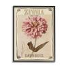 Stupell Industries Sweet Pink Zinnia Florals Vintage Seed Packet view 1