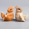 Lana Toys WLNTDOLA 1:6 Scale Pygmy Rabbit Pet Healing Figure Realistic Leporidae Animal Model view 2