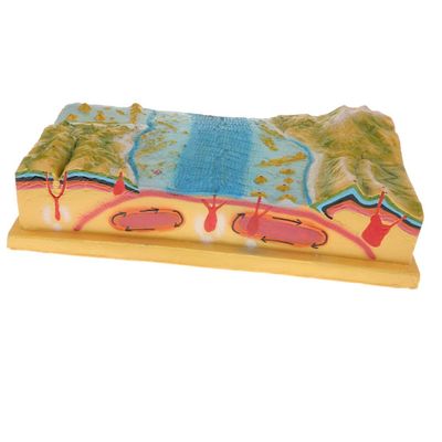 Milageto Geographic Tectonic Plate 3D Model Kit Teaching Tool