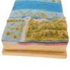 Milageto Geographic Tectonic Plate 3D Model Kit Teaching Tool view 4