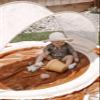 Beach Bucket Set view 3
