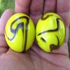 Big Game Toys Set of 2 Bumble BEE 35mm Boulder Yellow/Black Swirl Large Shooter Solid Glass Marbles Home Decor/Vase Filler/Aquarium view 2