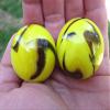 Big Game Toys Set of 2 Bumble BEE 35mm Boulder Yellow/Black Swirl Large Shooter Solid Glass Marbles Home Decor/Vase Filler/Aquarium view 4