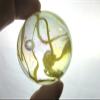 Big Game Toys~Large 2" (50mm) Yellow Spaghetti Toe Breaker w/Display Stand Iridescent Bubble Marble Glass Ball Large Huge Clear/Yellow Confetti Ribbon Shooter Swirl Home Decor/Aquarium view 4