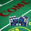 Cyber-Deals Craps & Texas Hold'em Poker Essentials Set: 2-Sided 6ft x 3ft Felt Layout, Las Vegas Casino Table-Played Dice & Cards, Plus Storage Pouch (Boulder Station (Blue Polished)) view 2