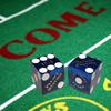 Cyber-Deals Craps & Texas Hold'em Poker Essentials Set: 2-Sided 6ft x 3ft Felt Layout, Las Vegas Casino Table-Played Dice & Cards, Plus Storage Pouch (Palace Station (Blue Polished)) view 2