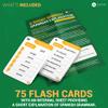 Briston Spanish Verbs Flash Cards  75 Double-Sided Cards Featuring 150 Common Verbs with Audio Access & Grammar Guide, Language Learning Tool for Students, Homeschool & Classroom Study view 4
