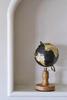 Artizay Vintage Round Wooden Brass Black Rotating Globe for School, Office and Study Room view 3