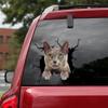 Ocean Gift Russian Blue Car Decals, Cat Car Stickers Pack of 2 - Realistic Russian Blue Stickers for Car Windows, Walls Series 120 Size 12" x 12" view 1