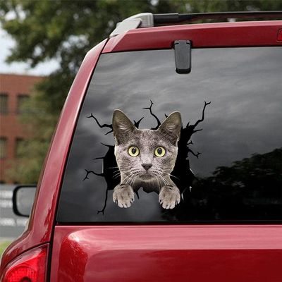 Ocean Gift Russian Blue Car Decals, Cat Car Stickers Pack of 2 - Realistic Russian Blue Stickers for Car Windows, Walls Series 121 Size 10" x 10"