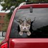 Ocean Gift Russian Blue Car Decals, Cat Car Stickers Pack of 2 - Realistic Russian Blue Stickers for Car Windows, Walls Series 121 Size 10" x 10" view 1