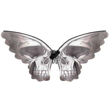 Amscan Skeleton Butterfly Wings for Women, Halloween Costume Accessories, One Size, Black and White