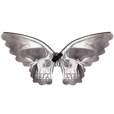 Amscan Skeleton Butterfly Wings for Women, Halloween Costume Accessories, One Size, Black and White