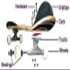 Meow Torres Nopales Deck-8.0 - Assembled AS Complete Skateboard view 2