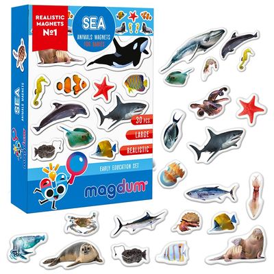 Fridge Magnets for Toddlers - Magdum  30 Sea Animal Magnets for Refrigerator  Real Ocean Animal Magnets for Children  Big Realistic Magnets for Kids - Baby Learning Toy Set - Baby Educational Gift