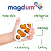 Fridge Magnets for Toddlers - Magdum  30 Sea Animal Magnets for Refrigerator  Real Ocean Animal Magnets for Children  Big Realistic Magnets for Kids - Baby Learning Toy Set - Baby Educational Gift view 4