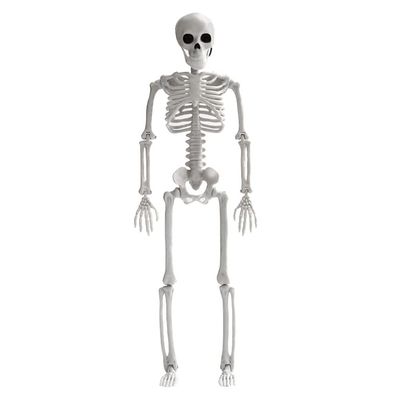 DOITOOL Halloween Skeletons Decorations Full Body Skeleton Model Plastic Skeleton Figures for Halloween Decoration, Haunted House Graveyard Scene Decorations