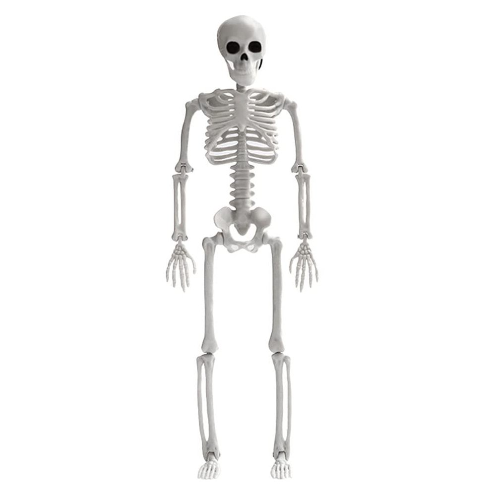 DOITOOL Halloween Skeletons Decorations Full Body Skeleton Model Plastic Skeleton Figures for Halloween Decoration, Haunted House Graveyard Scene Decorations