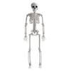 DOITOOL Halloween Skeletons Decorations Full Body Skeleton Model Plastic Skeleton Figures for Halloween Decoration, Haunted House Graveyard Scene Decorations view 1