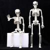 DOITOOL Halloween Skeletons Decorations Full Body Skeleton Model Plastic Skeleton Figures for Halloween Decoration, Haunted House Graveyard Scene Decorations view 2