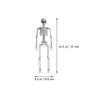DOITOOL Halloween Skeletons Decorations Full Body Skeleton Model Plastic Skeleton Figures for Halloween Decoration, Haunted House Graveyard Scene Decorations view 3