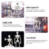 DOITOOL Halloween Skeletons Decorations Full Body Skeleton Model Plastic Skeleton Figures for Halloween Decoration, Haunted House Graveyard Scene Decorations view 4