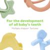 Moyuum Silicone Swing Bird Teether Toy | Made in Korea, Provides Teething Relief, Wrist Teether is Easy to Grip, Designed to Rock, Babies 3+ Months view 4