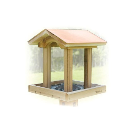 Fancy Feline Coppertop Cedar Hopper