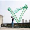 LXLA Dragon-Dancing Fitness Streamer, Chinese Folk Exercise Toys, Green Outdoor Sports Ribbon for Seniors Adult, Peacock-Style Body, with Dragon-Shape Head (Size : 10m/32.8ft Long) view 2