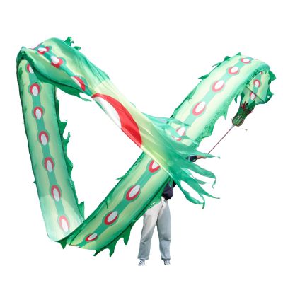 LXLA Dragon-Dancing Fitness Streamer, Chinese Folk Exercise Toys, Green Outdoor Sports Ribbon for Seniors Adult, Peacock-Style Body, with Dragon-Shape Head (Size : 8m/26ft Long)