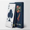 Beyond Playing Cards view 2