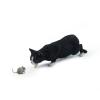 Lana Toys WLNTDOLA 1:6 Scale Chinese Garden Cat 2.0 Pet Healing Figure Animal Model view 1