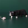 Lana Toys WLNTDOLA 1:6 Scale Chinese Garden Cat 2.0 Pet Healing Figure Animal Model view 2