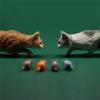 Lana Toys WLNTDOLA 1:6 Scale Chinese Garden Cat 2.0 Pet Healing Figure Animal Model view 4