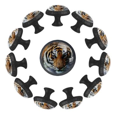 12 Pieces Beautiful Tiger Looking Straight Glass Knobs for Dresser Drawers, 1.37 x 1.10 in Round Kitchen Cabinet Pulls for Home Office Nursery Kids Room