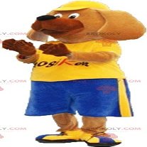 SPOTSOUND Big dog REDBROKOLY Mascot in sportswear with a cap