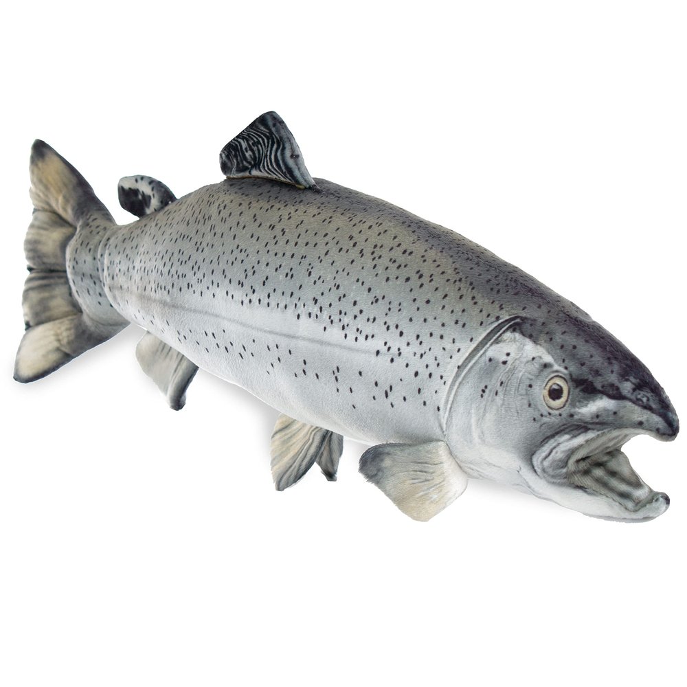 Real Planet Fishing Stuffed Animal - Sockeye Salmon Trout Bass Plush Stuffed Toy for Kids, Fishing Gifts for Men, Plush Freshwater Fish Toy (Silver Trout, 14") (21" Long)