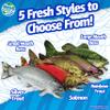 Real Planet Fishing Stuffed Animal - Sockeye Salmon Trout Bass Plush Stuffed Toy for Kids, Fishing Gifts for Men, Plush Freshwater Fish Toy (Silver Trout, 14") (21" Long) view 3