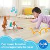 Fisher-Price 123 Crawl with Me Puppy, Electronic Dog Infant Crawling Toy with Music and Smart Stages Learning Content for Infants and Toddlers view 2