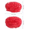 Yardwe Simulated Brain Props 2 Pack Fake Brain Decorations for Halloween Party Bloody Body Organs Scary Haunted House 5X3.5X3 Inches view 3