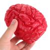 Yardwe Simulated Brain Props 2 Pack Fake Brain Decorations for Halloween Party Bloody Body Organs Scary Haunted House 5X3.5X3 Inches view 4