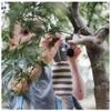 Pebble 200-322 Koala Bear Rattle, 12-inch Length, Cotton Yarn 12inch L x 5inch W view 2