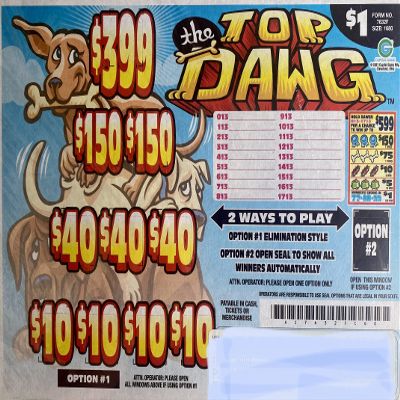 Top Dawg $599 Bingo Pull Tabs, Seal Card Elimination Game