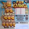 Top Dawg $599 Bingo Pull Tabs, Seal Card Elimination Game view 1