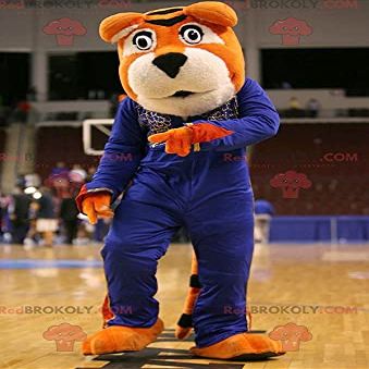 SPOTSOUND Orange and white tiger REDBROKOLY Mascot in blue outfit