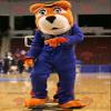 SPOTSOUND Orange and white tiger REDBROKOLY Mascot in blue outfit view 1