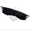 Revolution Kites 3D Eagle Quad-Line Stunt Wing 8 ft (Novices to Pros) - Ultralight Carbon Fiber Design - Launch from Anywhere - Precision Control for Soaring and Tricks - Includes Club 38 Membership view 1