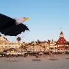 Revolution Kites 3D Eagle Quad-Line Stunt Wing 8 ft (Novices to Pros) - Ultralight Carbon Fiber Design - Launch from Anywhere - Precision Control for Soaring and Tricks - Includes Club 38 Membership view 3